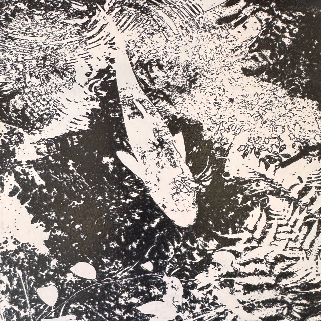 Laser engraved enamel image of fish in pond - the first layer in the enamelling process