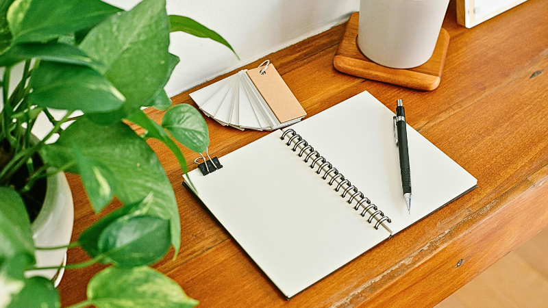 Soul Alignment + Executive Coaching