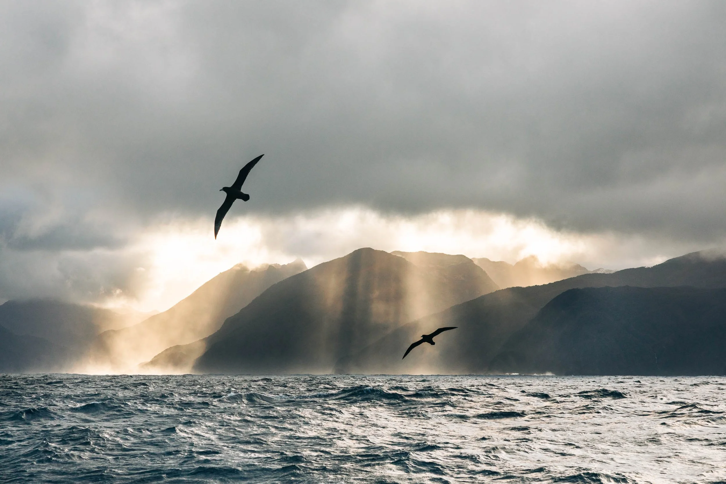 Mar en una tarde nublada con olas y montañas al fondo, con dos gaviotas volando sobre el agua. Fotografía Juan Pablo Reyes para abogado Pichilemu