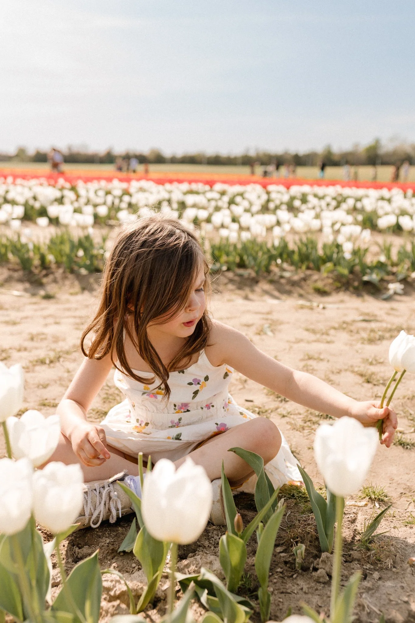 192Q2A8971 april 2025 familyspring tulip session.jpg