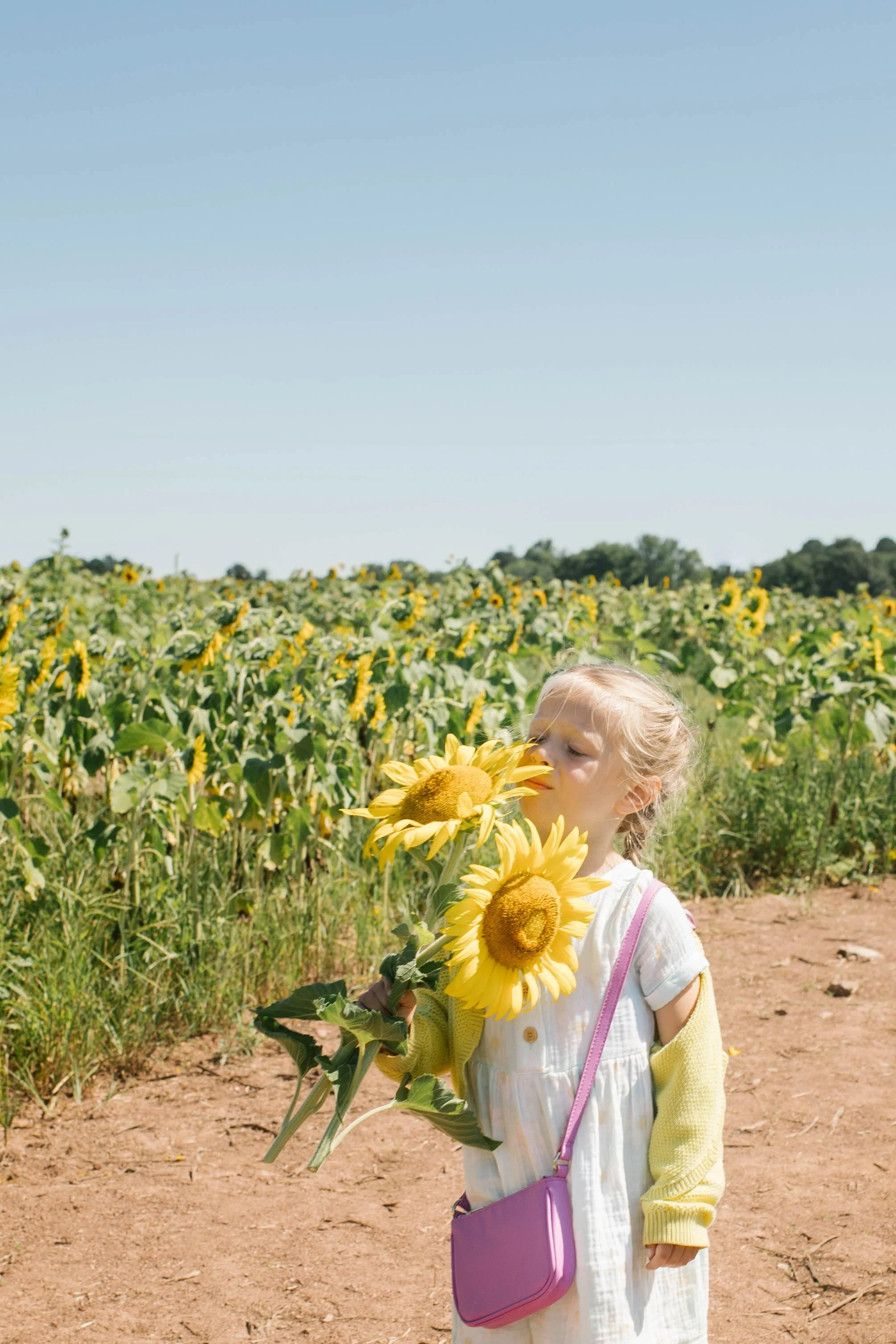 child-holding-sunflowers-burnside-farms.jpg