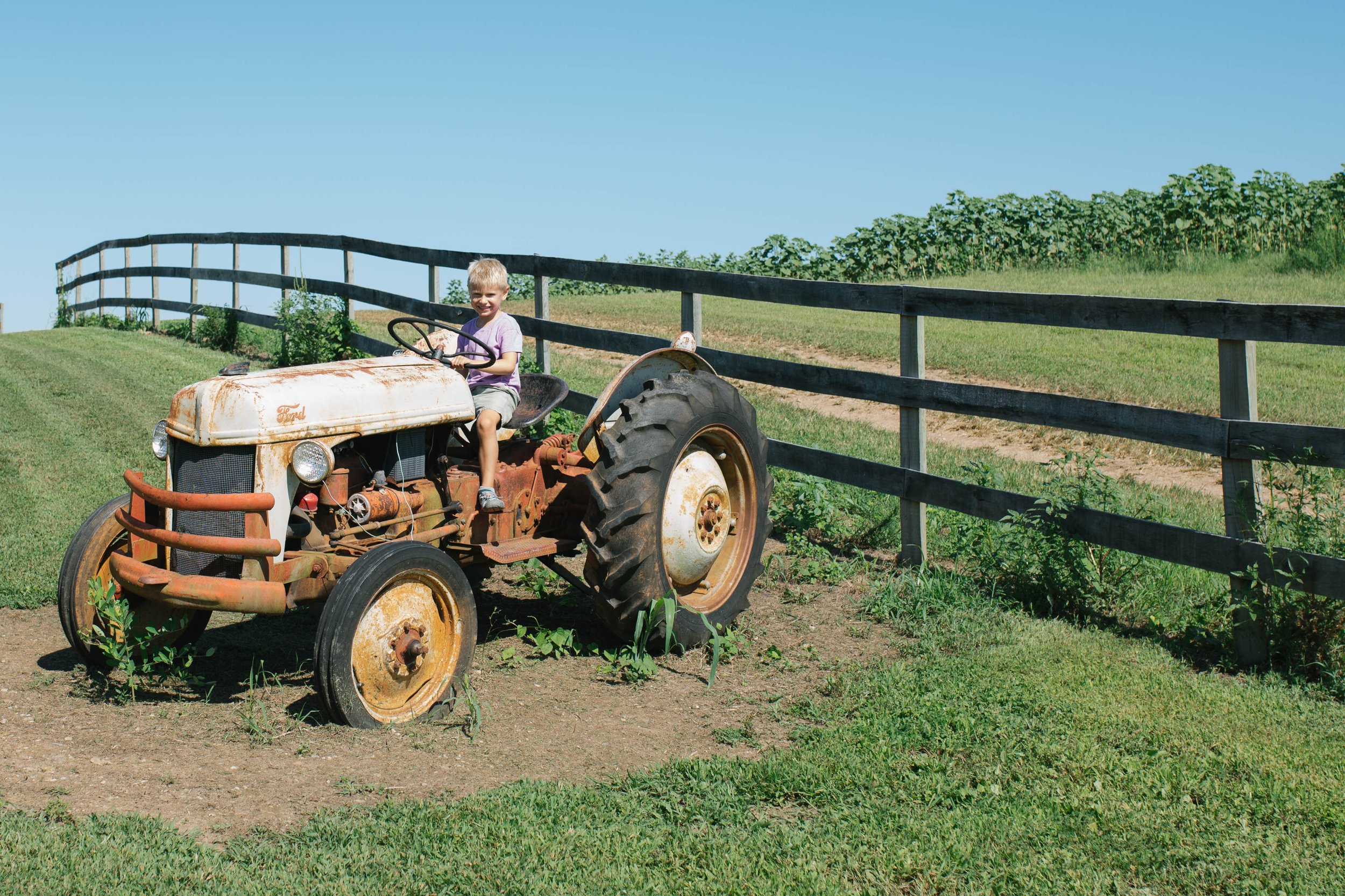 child-vintage-tractor-burnside-farms.jpg