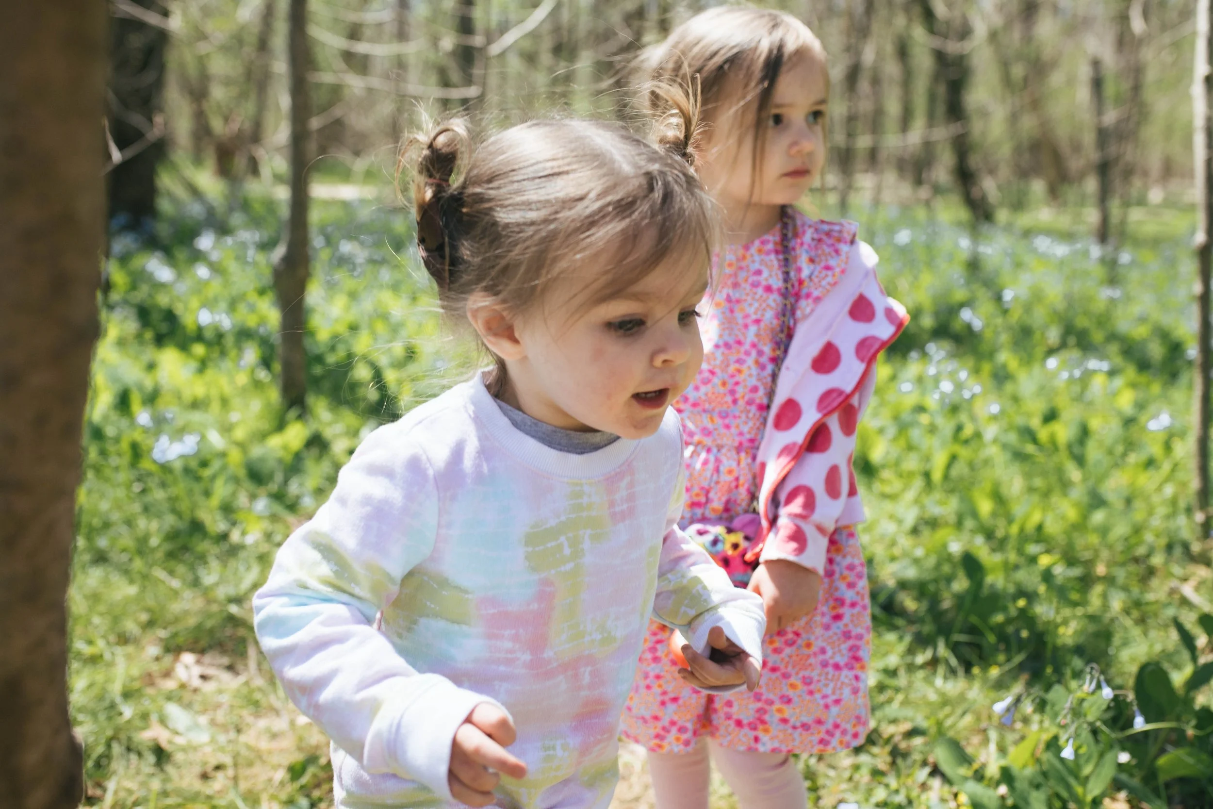 Blue Bells and sisters at the Bull Run Blue Bell trail