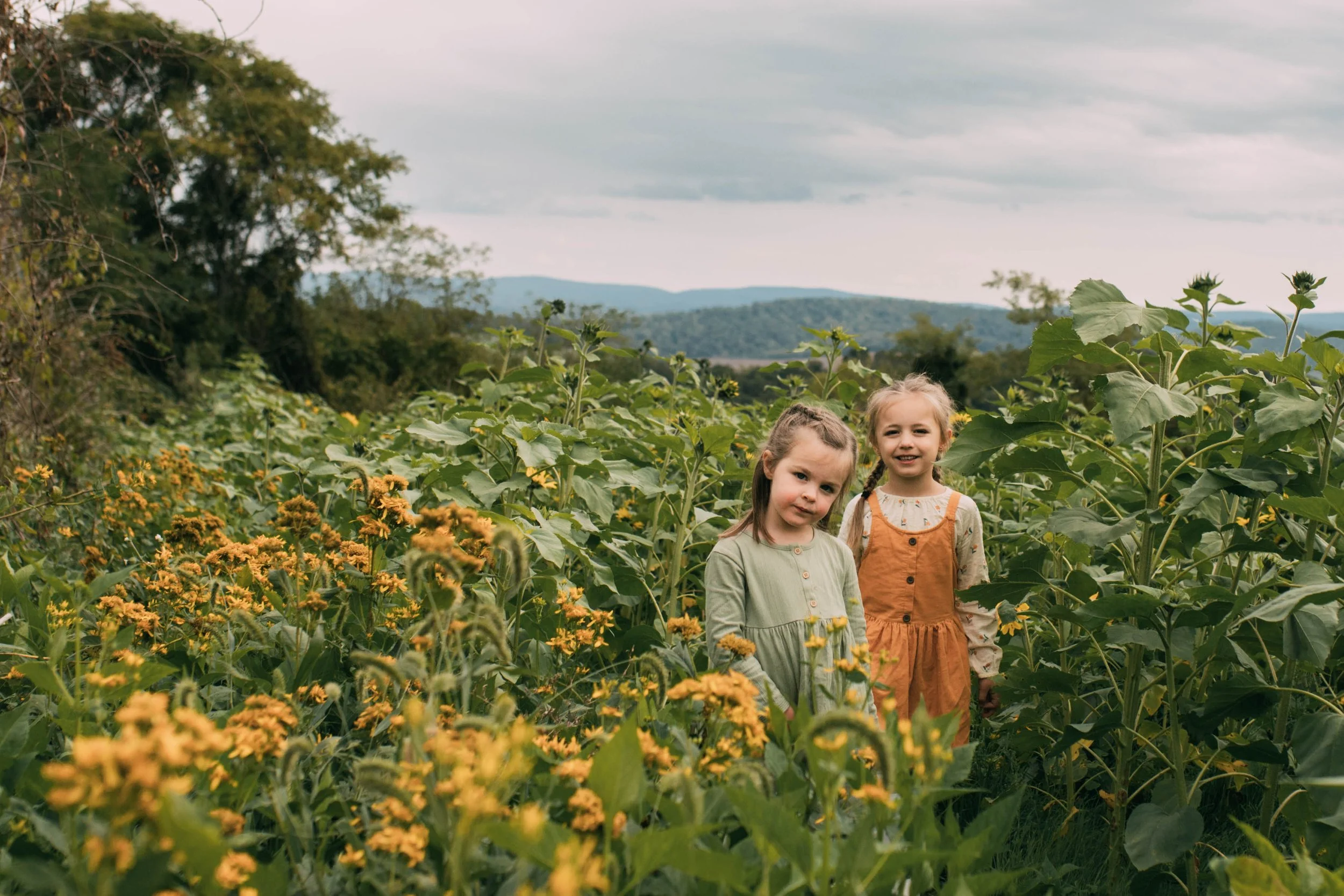 Two young girls standing amidst tall green plants and yellow flowers outdoors with hills and cloudy sky in the background.
