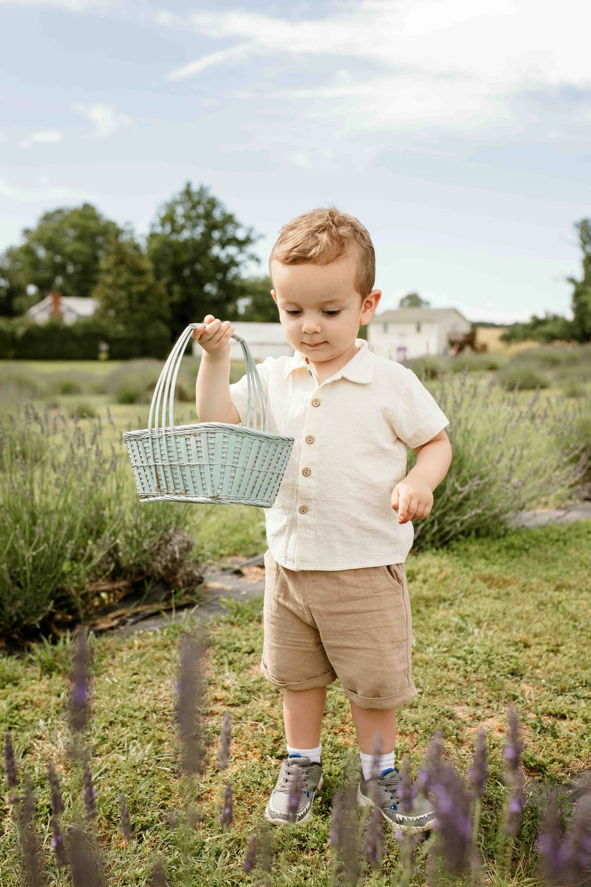 Toddler holding a basket while exploring lavender fields during a summer family session at Seven Oaks Lavender Farm in Fauquier County, Virginia.