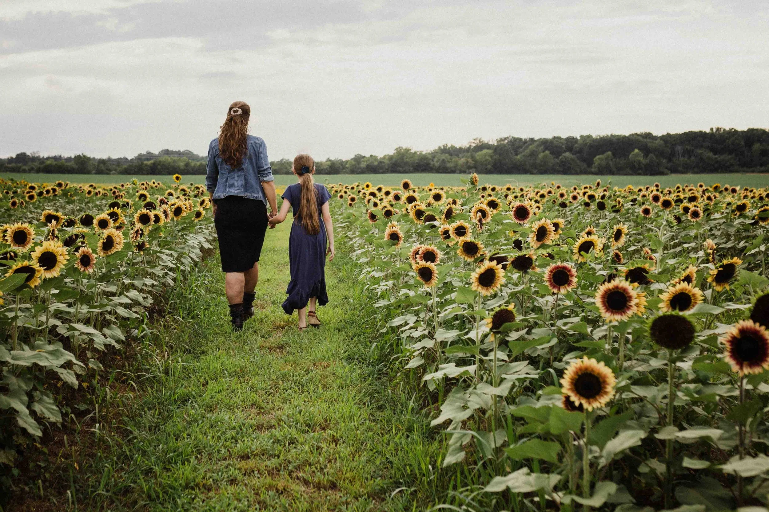 Mother and daughter walking through the sunflower fields at Burnside Farms during a summer family photography session in Northern Virginia.