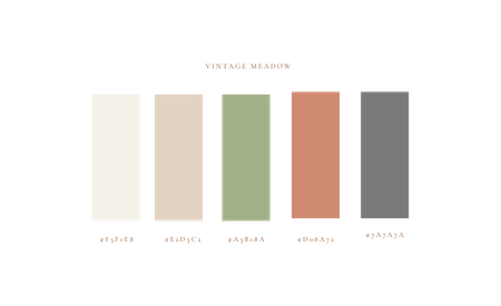 vintage meadow color palette for family photos with soft green, warm terracotta, beige and neutral tones