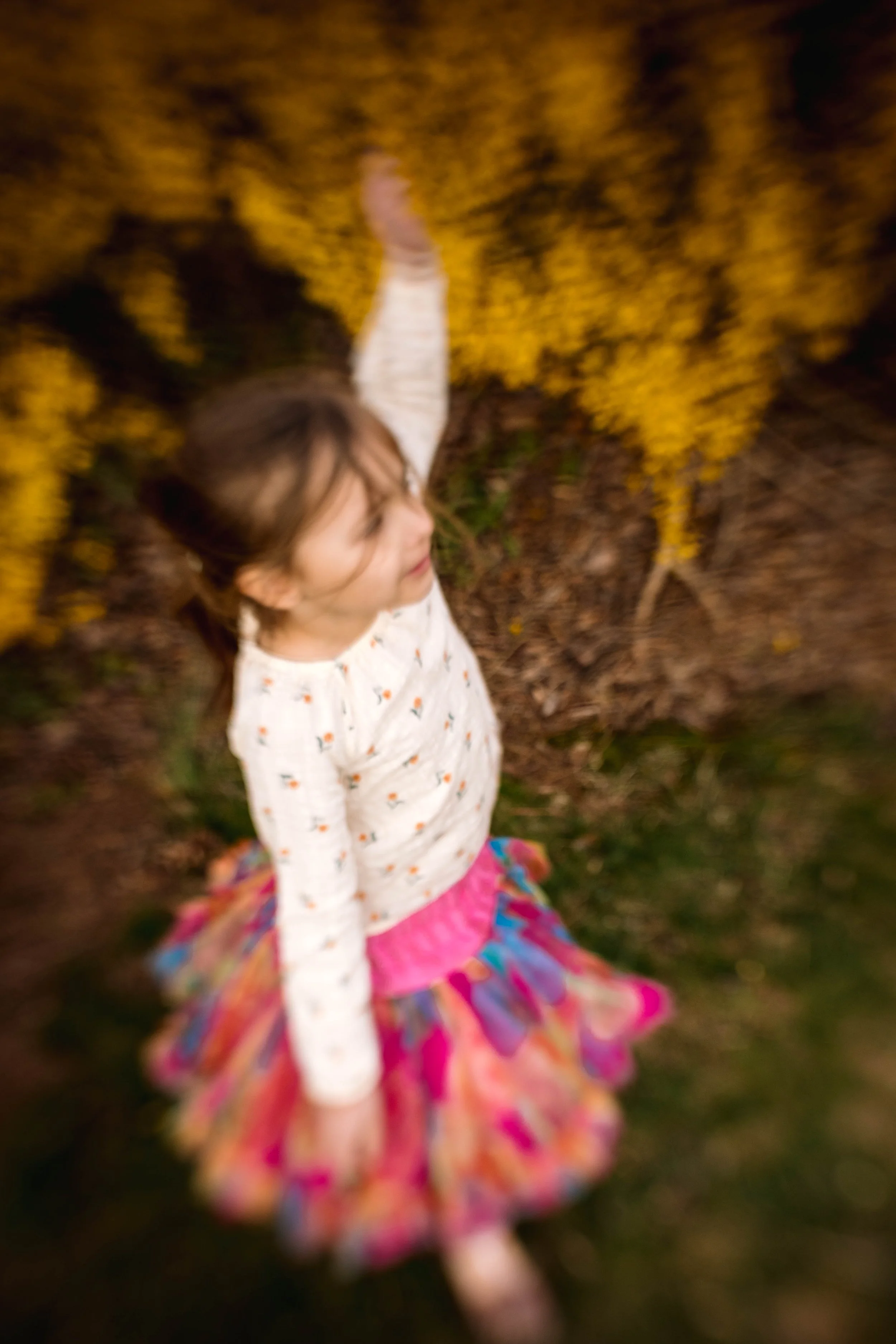 Little girl twirling in a colorful rainbow tutu and floral top in front of yellow forsythia blooms during a spring family photo session in Northern Virginia — Amanda Kahnell Photography