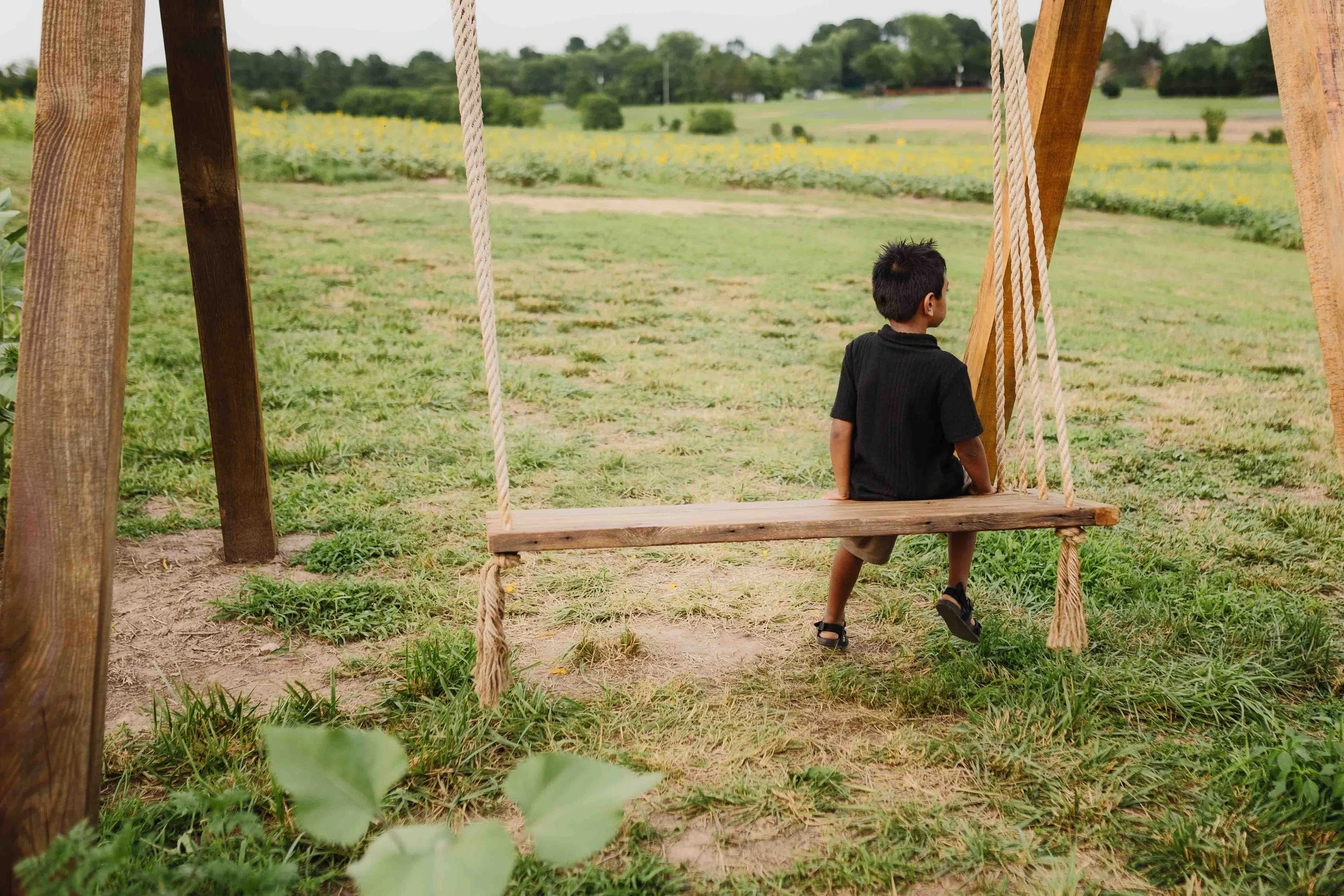 Child sitting on a wooden swing at Burnside Farms during a Northern Virginia sunflower photography session.