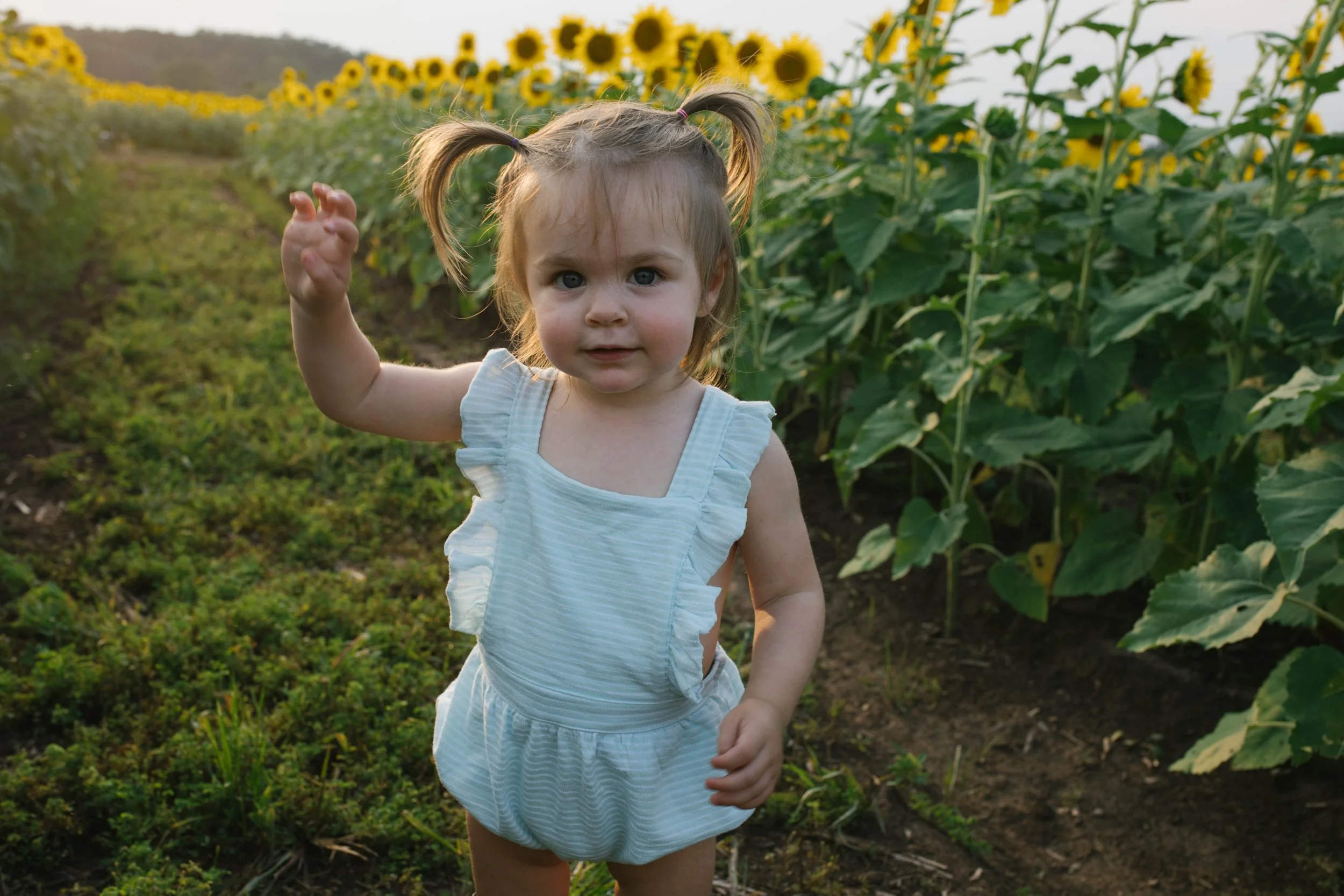 burnside farm toddler walking through fields