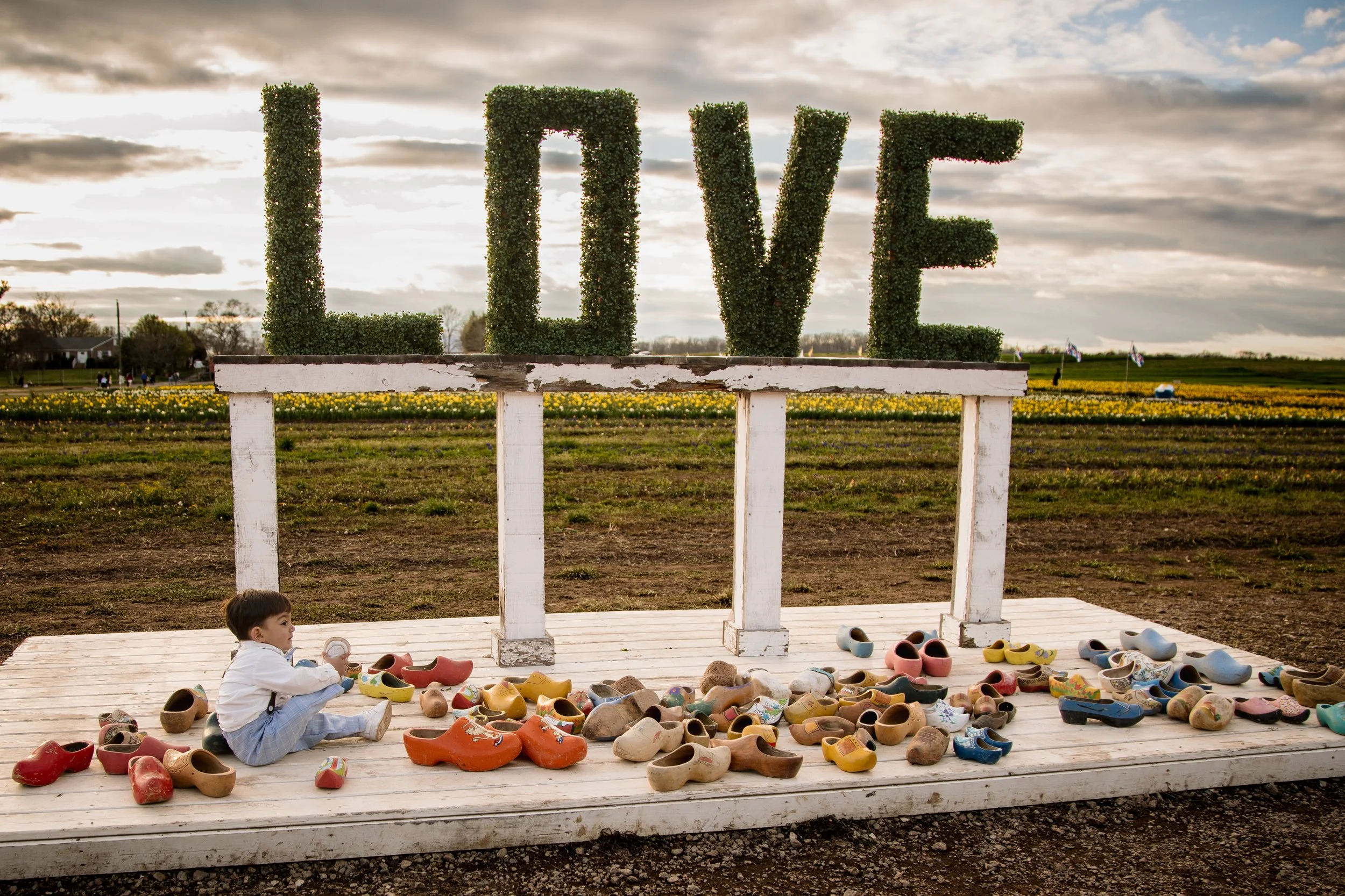 Young child sitting under a large LOVE sign at a tulip farm during a spring tulip photo session in Northern Virginia.