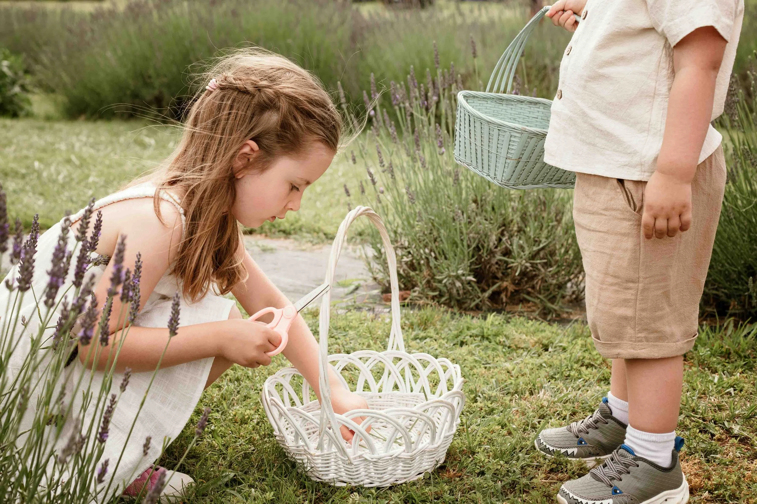 Children exploring lavender fields during a summer family session at Seven Oaks Lavender Farm in Fauquier County, Virginia.