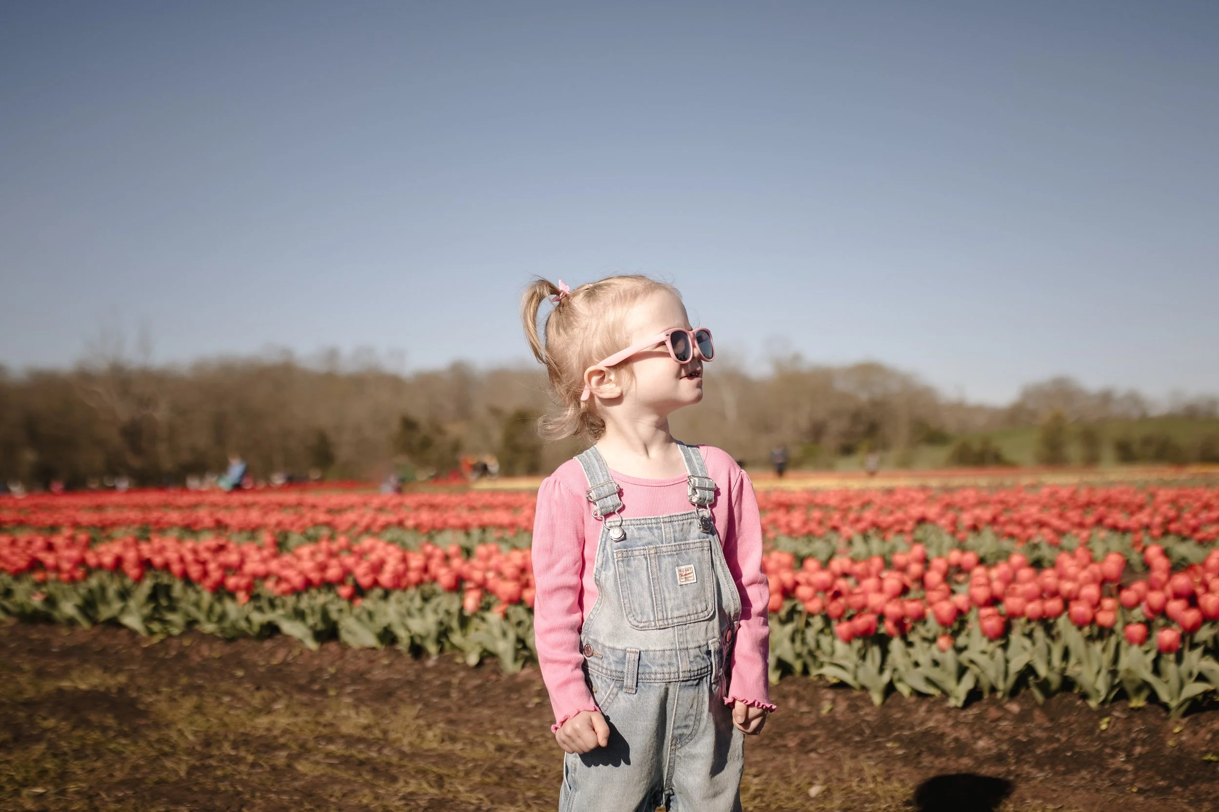 cute girl in overalls enjoying burnside farms tulip fields