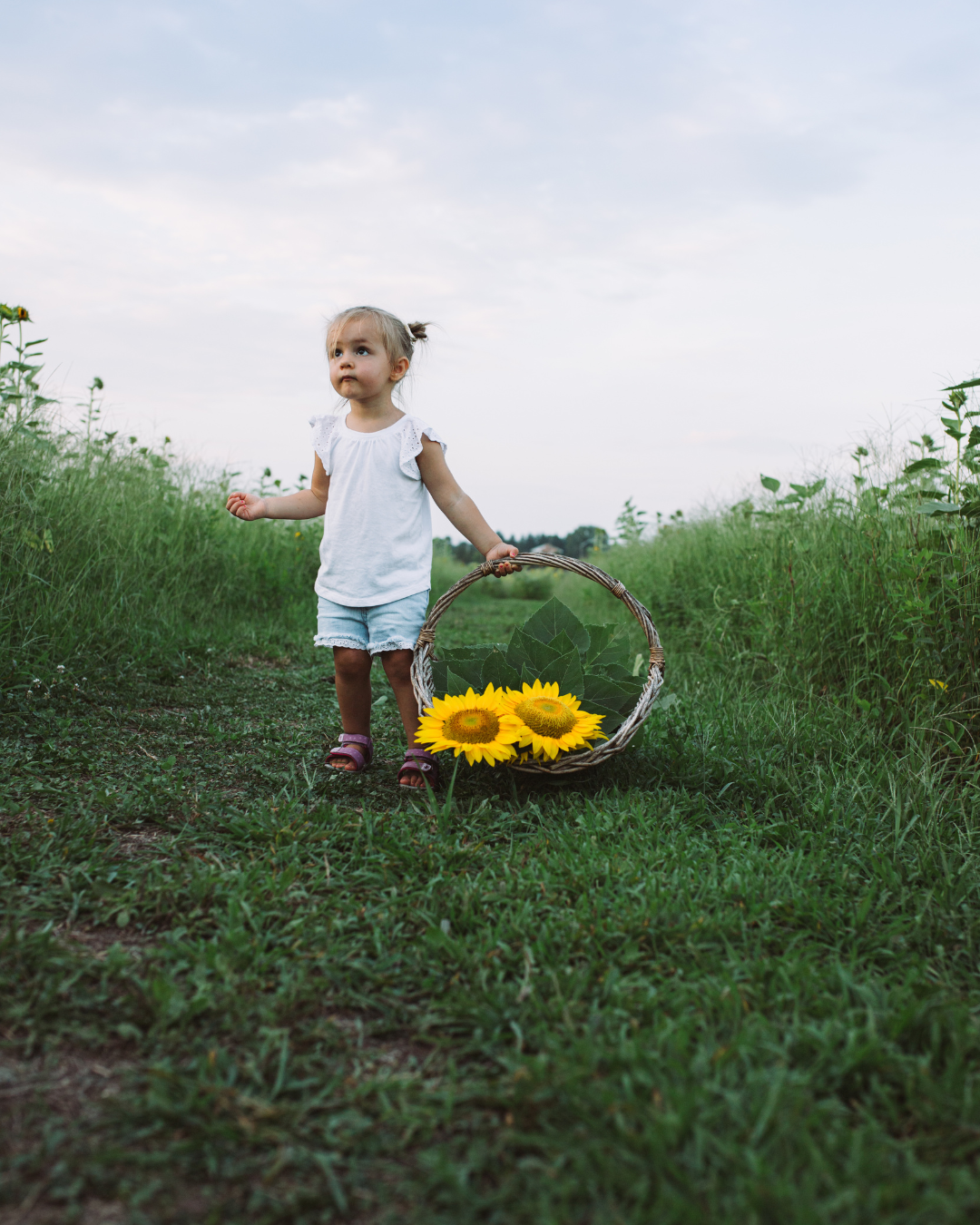 Little girl carrying a basket of flowers at Burnside Farms.
