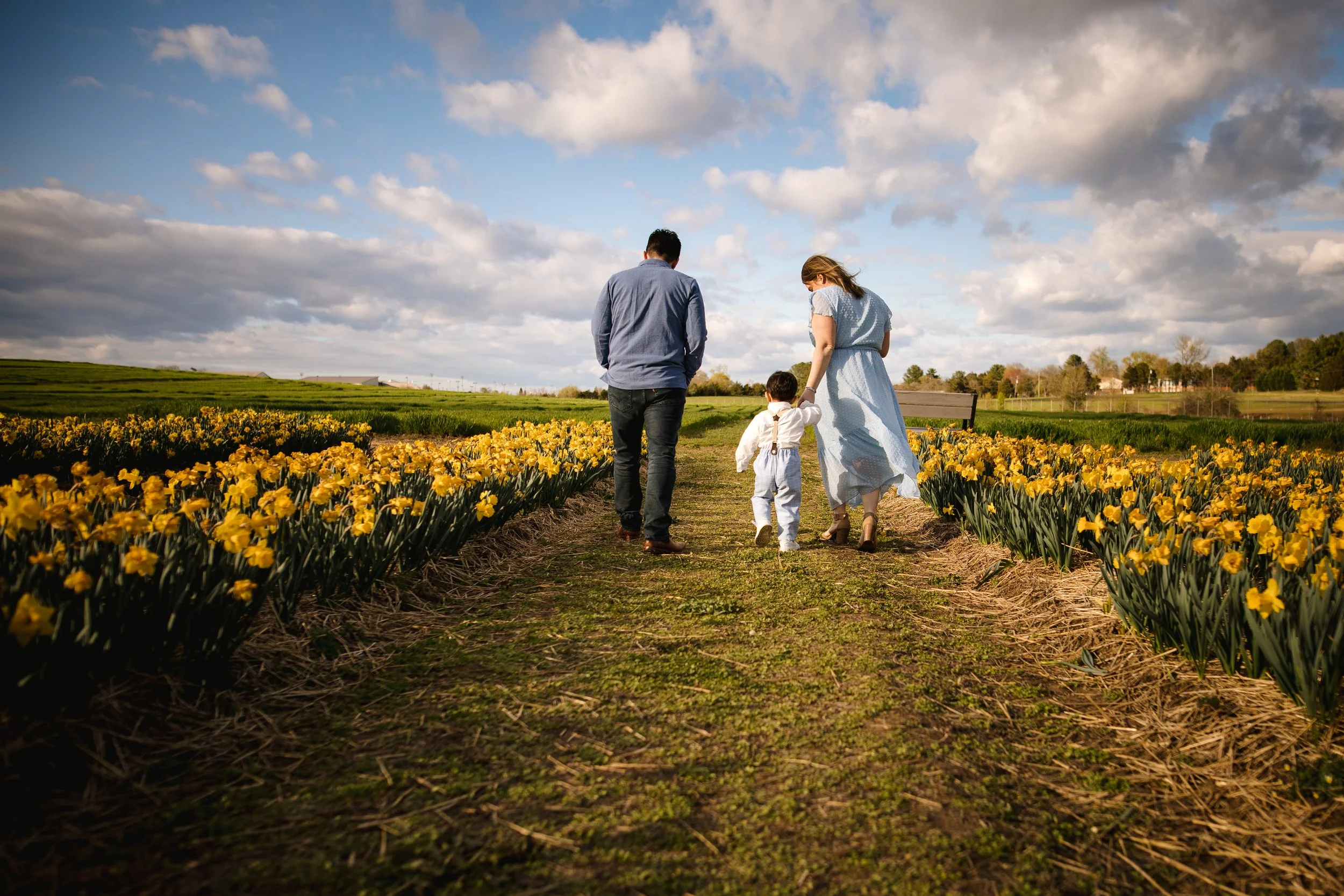 Parent holding their child among blooming tulips during a spring family photography session in Northern Virginia.