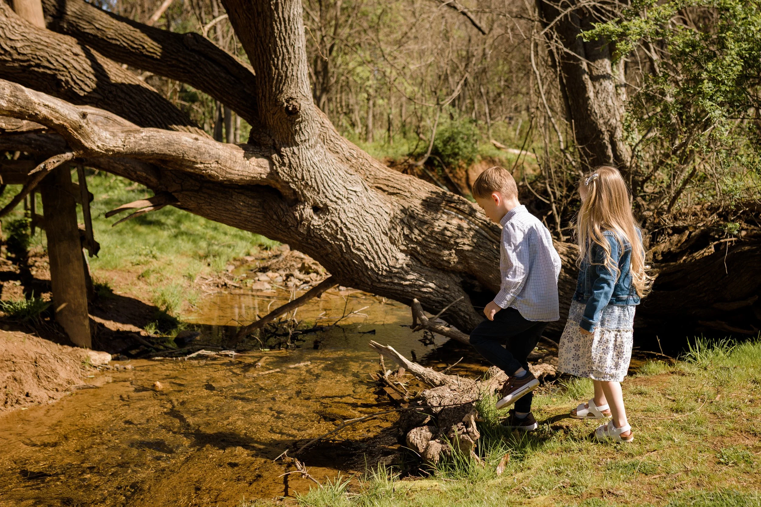 Brother and sister exploring the creek beside a fallen tree during a spring morning family session at Rady Park in Fauquier County.