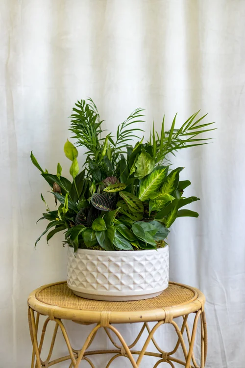 Flowers & Co., business photo 6