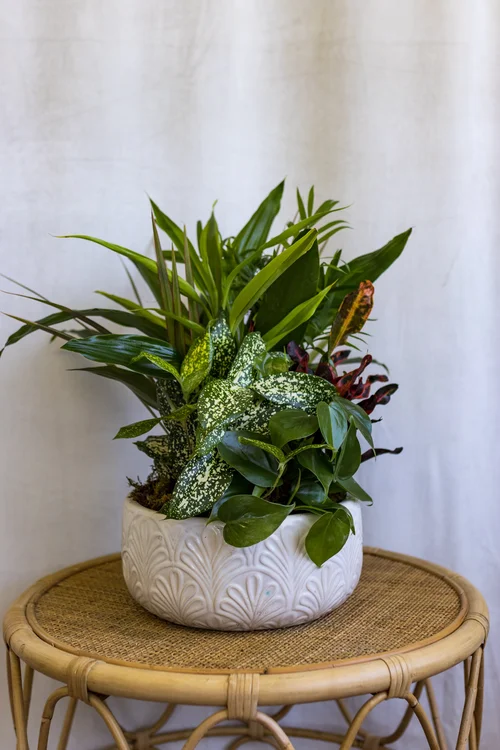 Flowers & Co., business photo 4