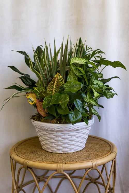 Flowers & Co., business photo 5