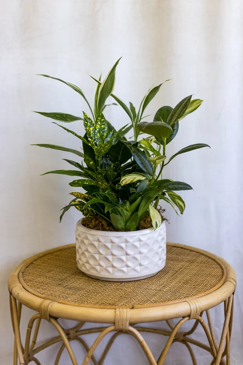 Flowers & Co., business photo 3