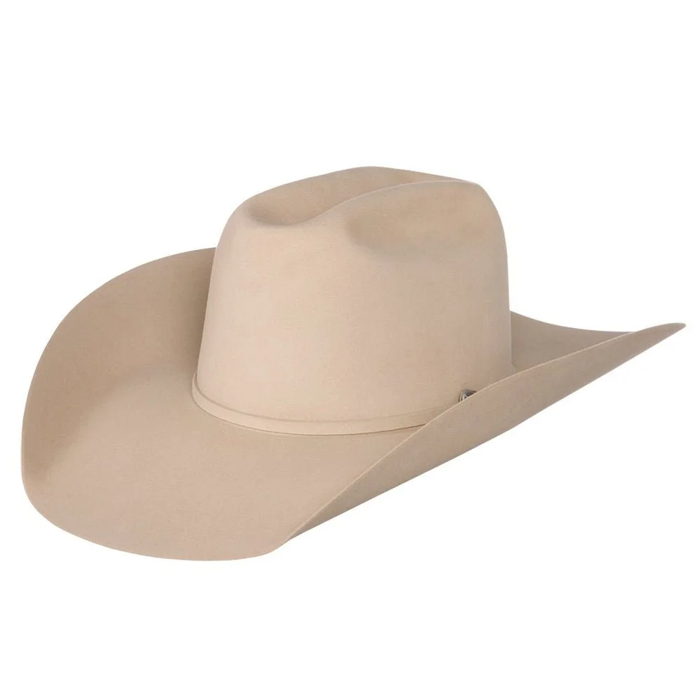 rodeo king buckskin.jpg
