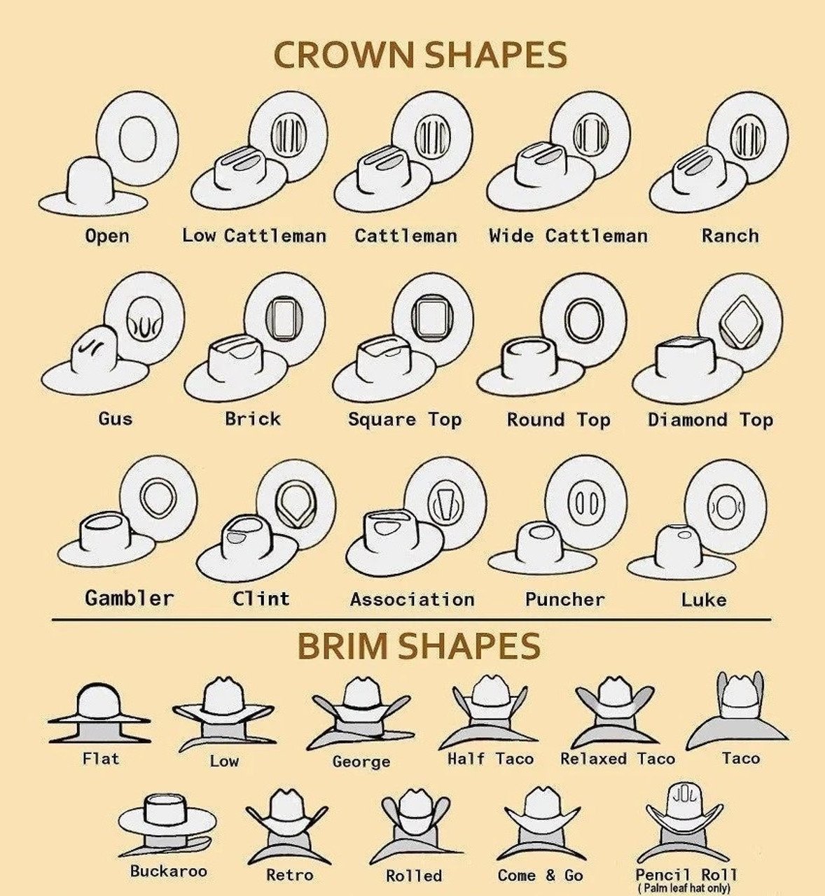 HAT SHAPE CHART.jpg
