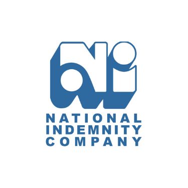 Logo of the National Indemnity Company featuring stylized blue text and design elements