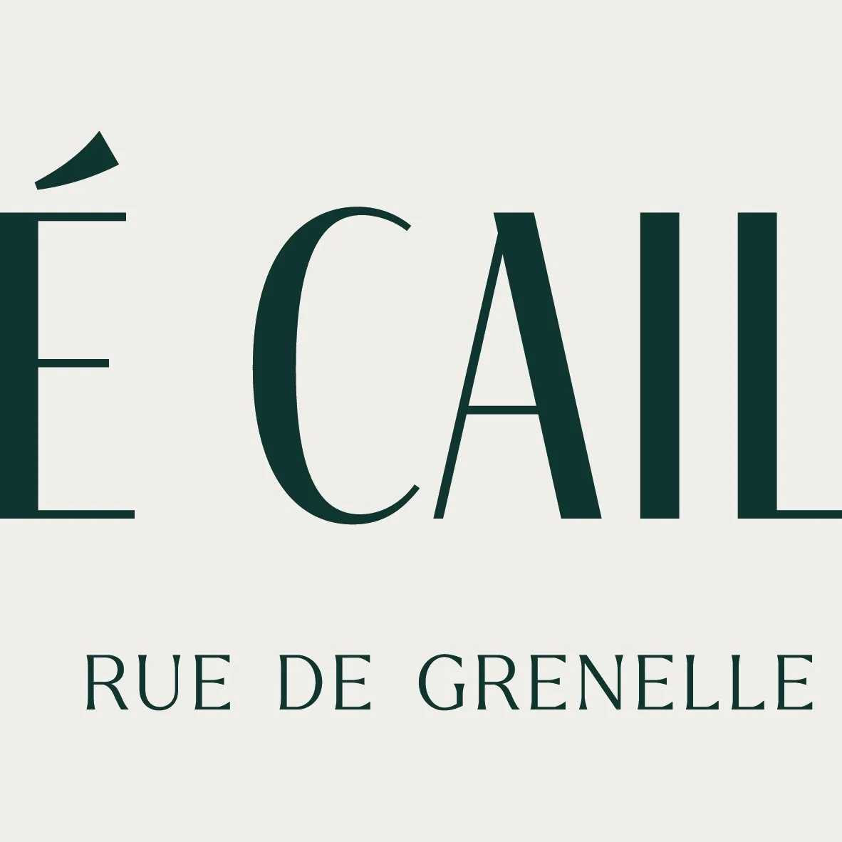 logo instax3_Plan de travail 1-02.JPG