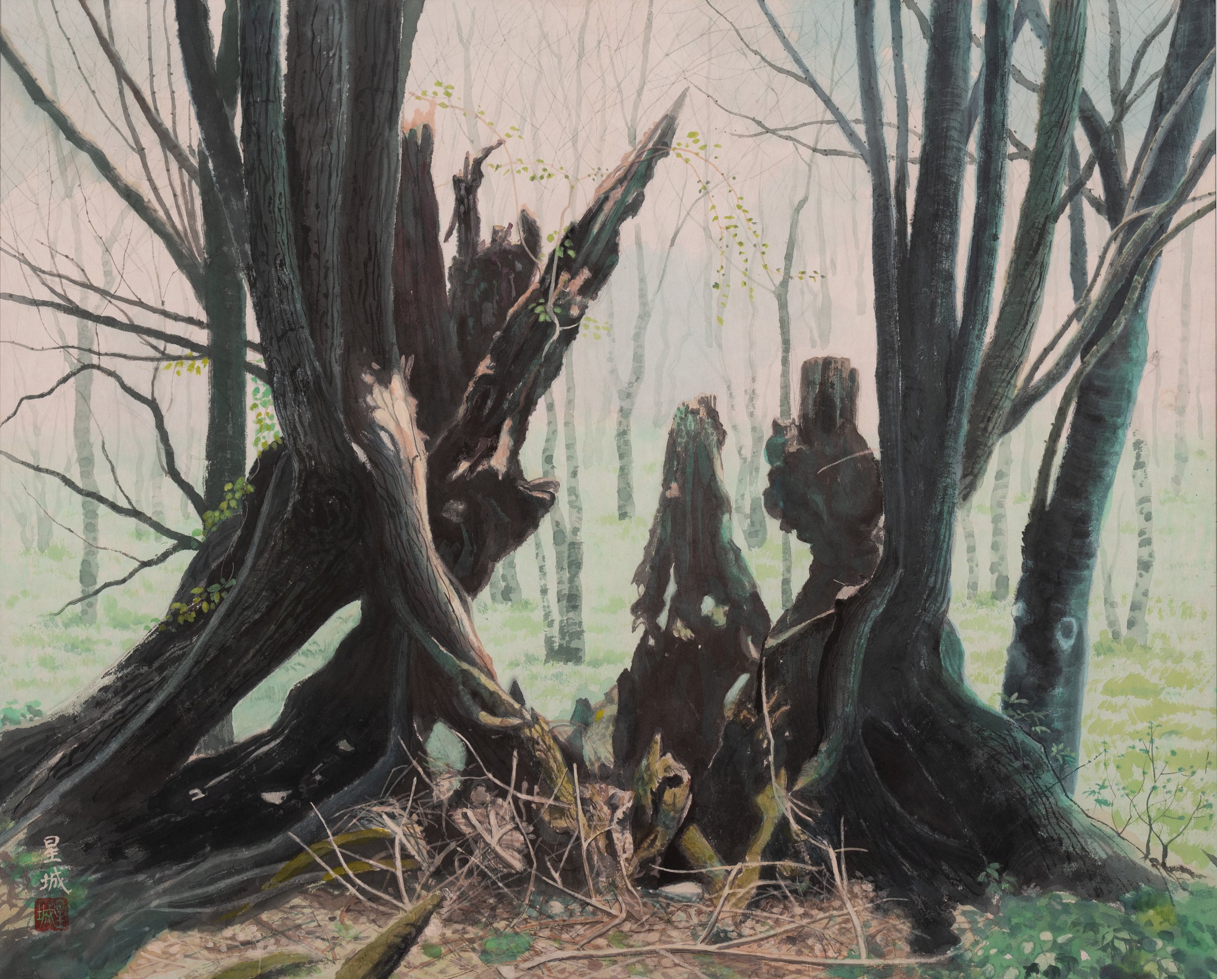 LIFE (25"x 32") 1993 Hokkaido Japan