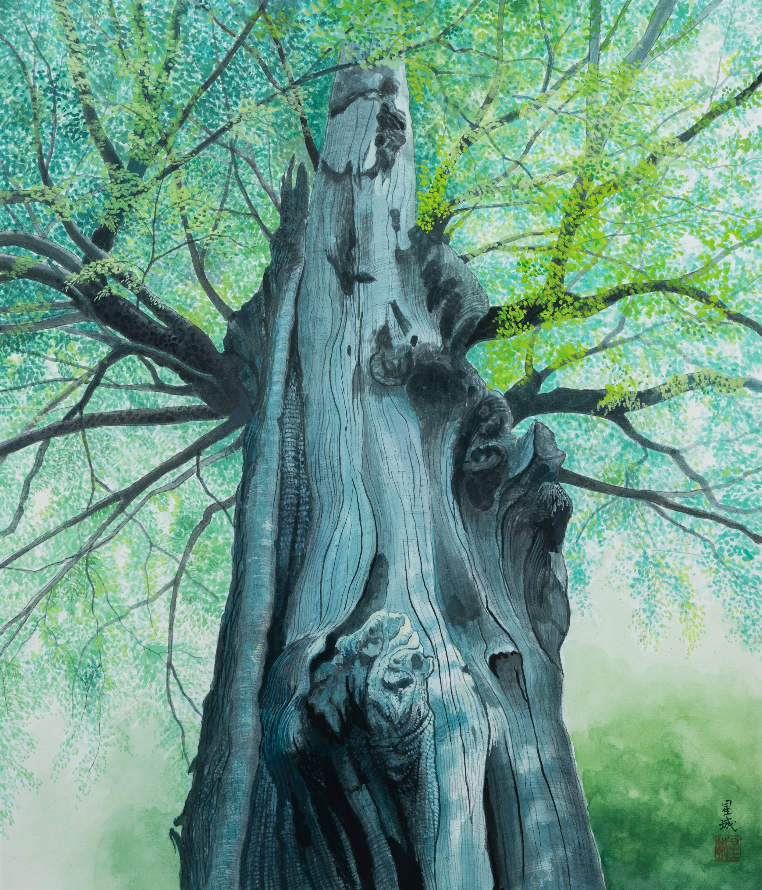 MUKU TREE (21"x 18") 1995 Myogadani, Tokyo, Japan