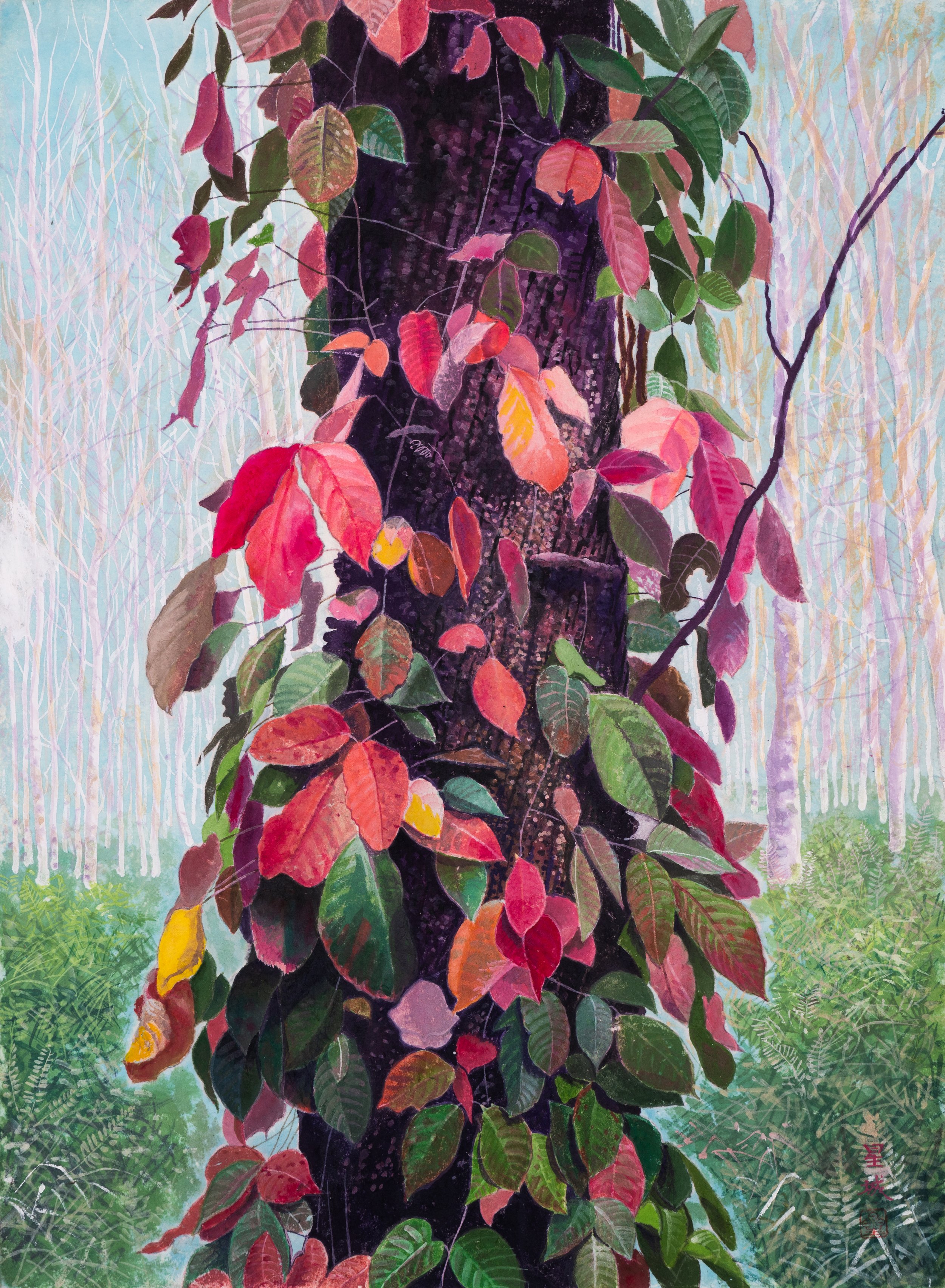 SCARLET TINGED IVY (18"x 13") 2006 Akita, Japan