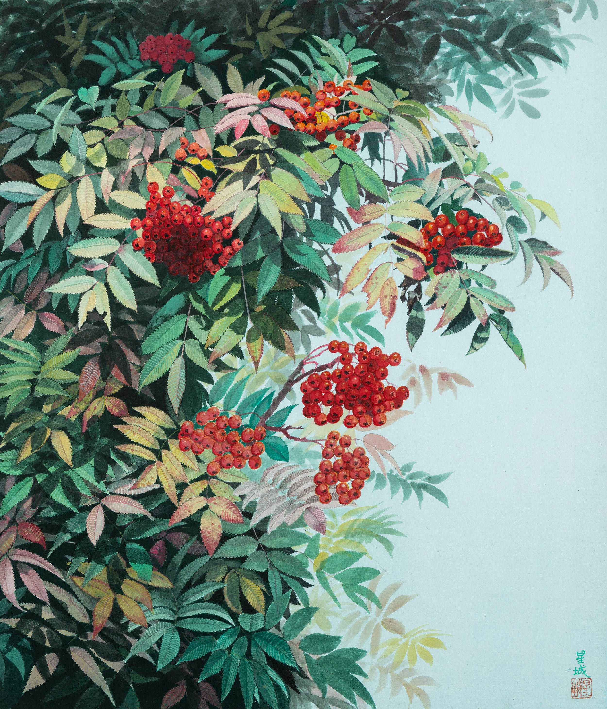 SCARLET BERRY (21"x 17") 1997 Hokkaido, Japan