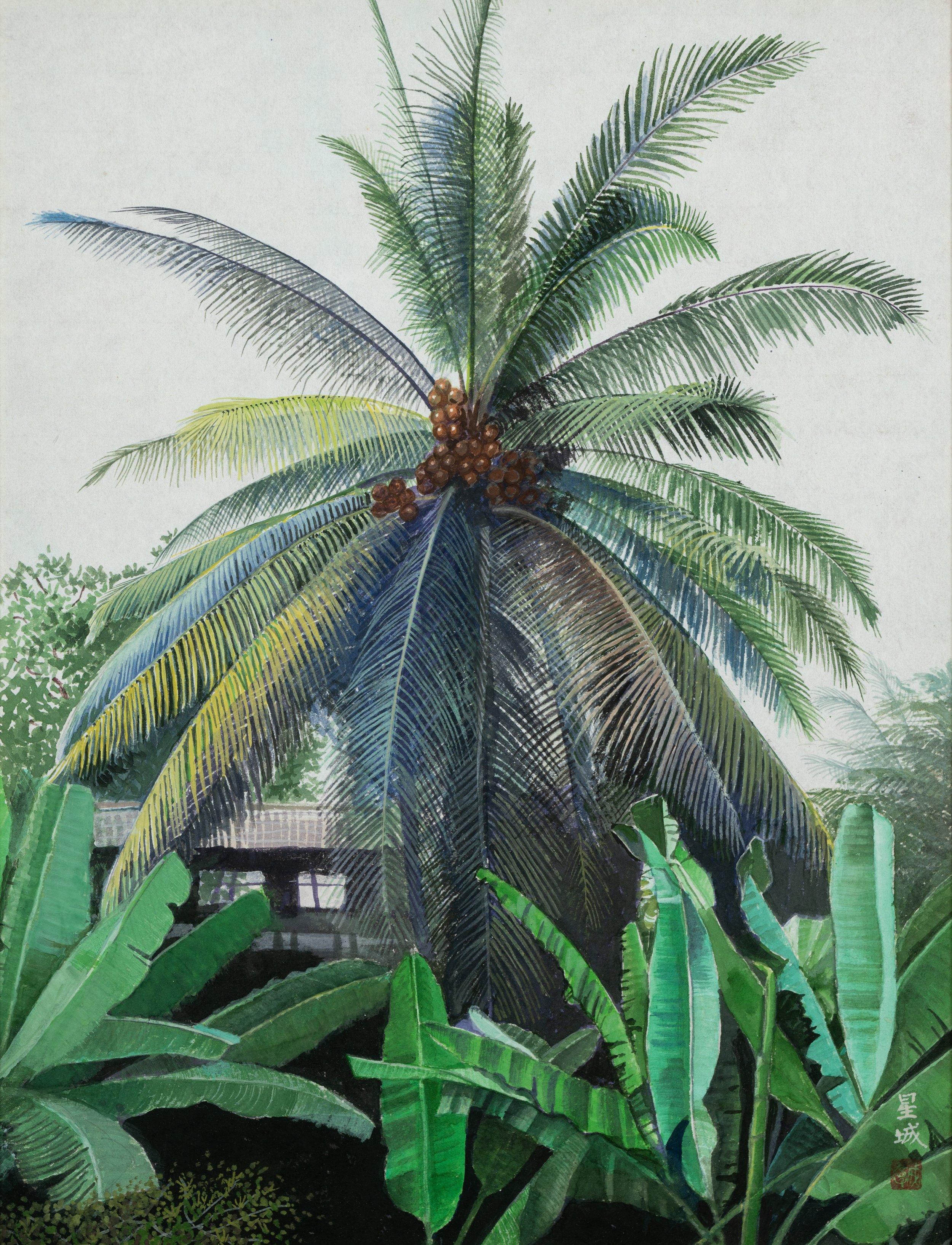 PALM (17"x 13") 2003 Cambodia