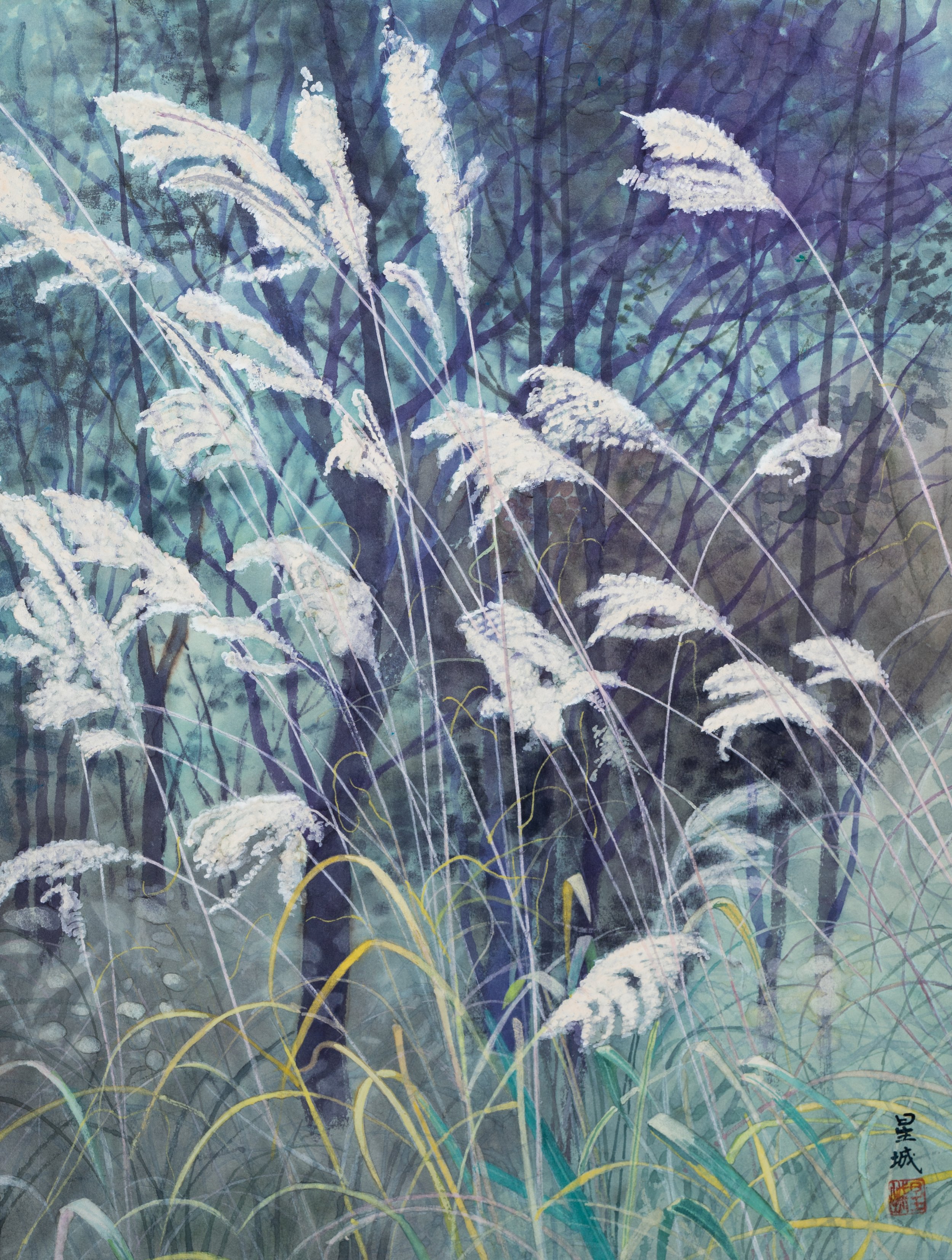 SILVER GRASS aAT MT.FUJI (21"x 16") 1998 Mt. Fuji 5th Station