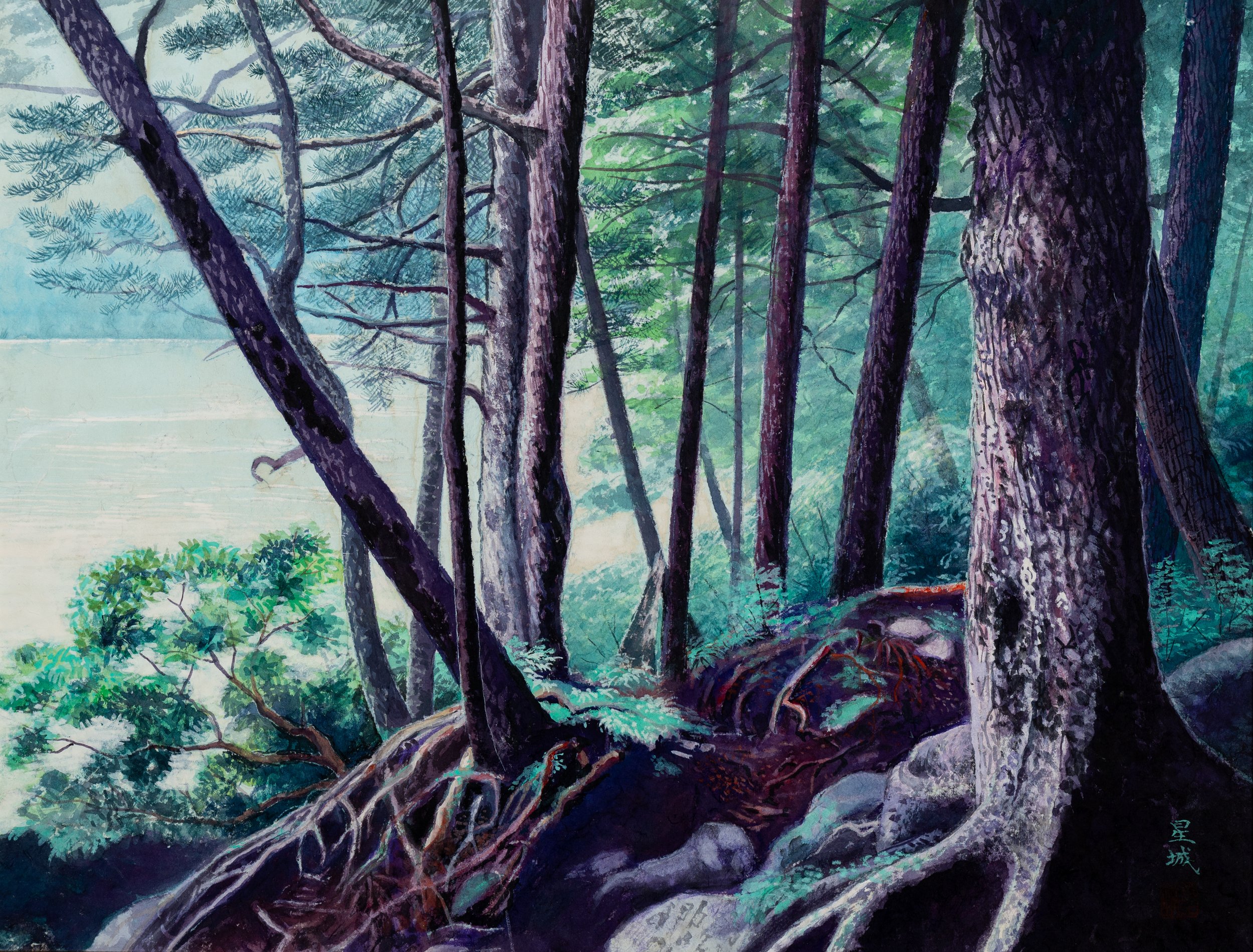 SHIROKOMAIKE (17"x 21") 2003 Kita-Yatsugatake, Nagano, Japan