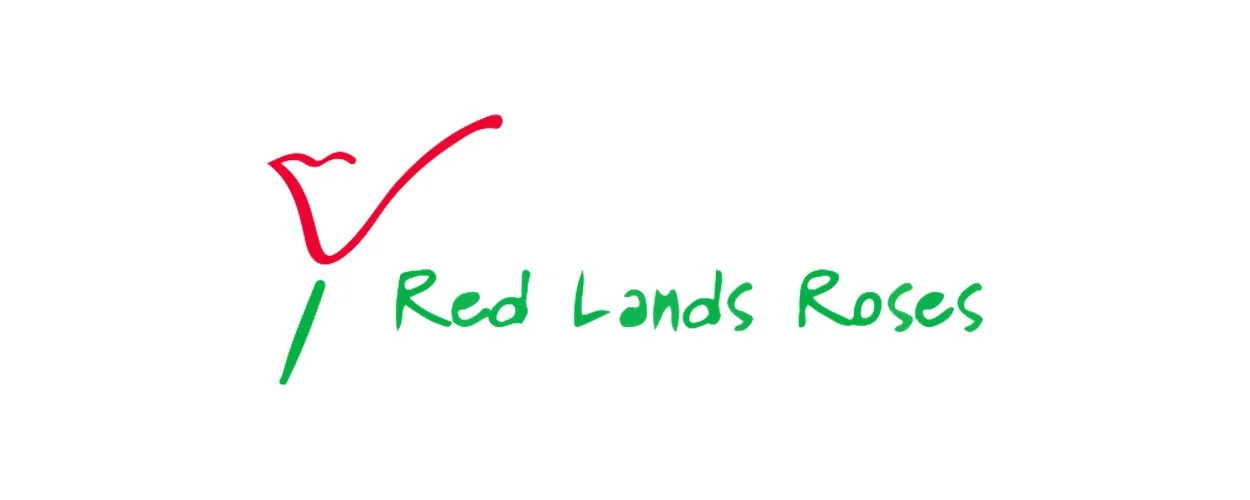 Red Lands Roses