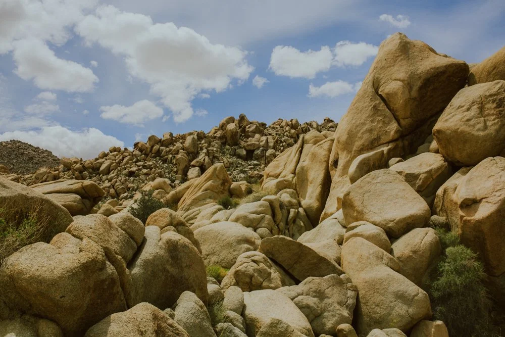 joshua-tree-ambergress-0017.JPG
