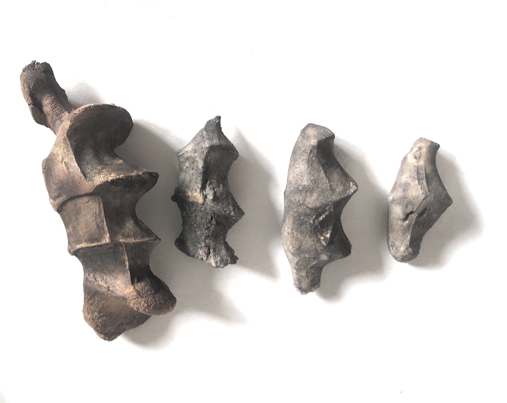 varying fist impressions, salt dough.