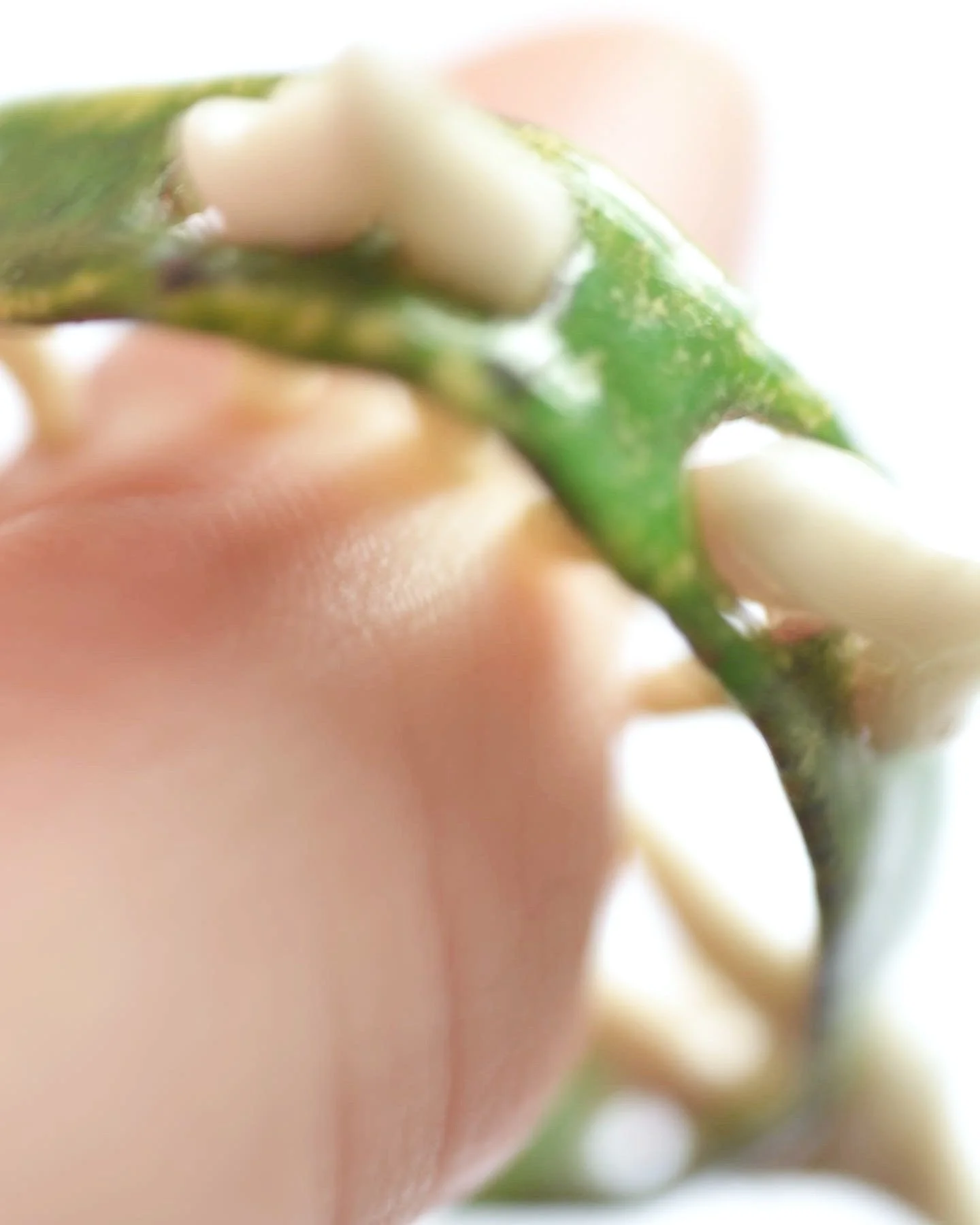 the physicality of feeling