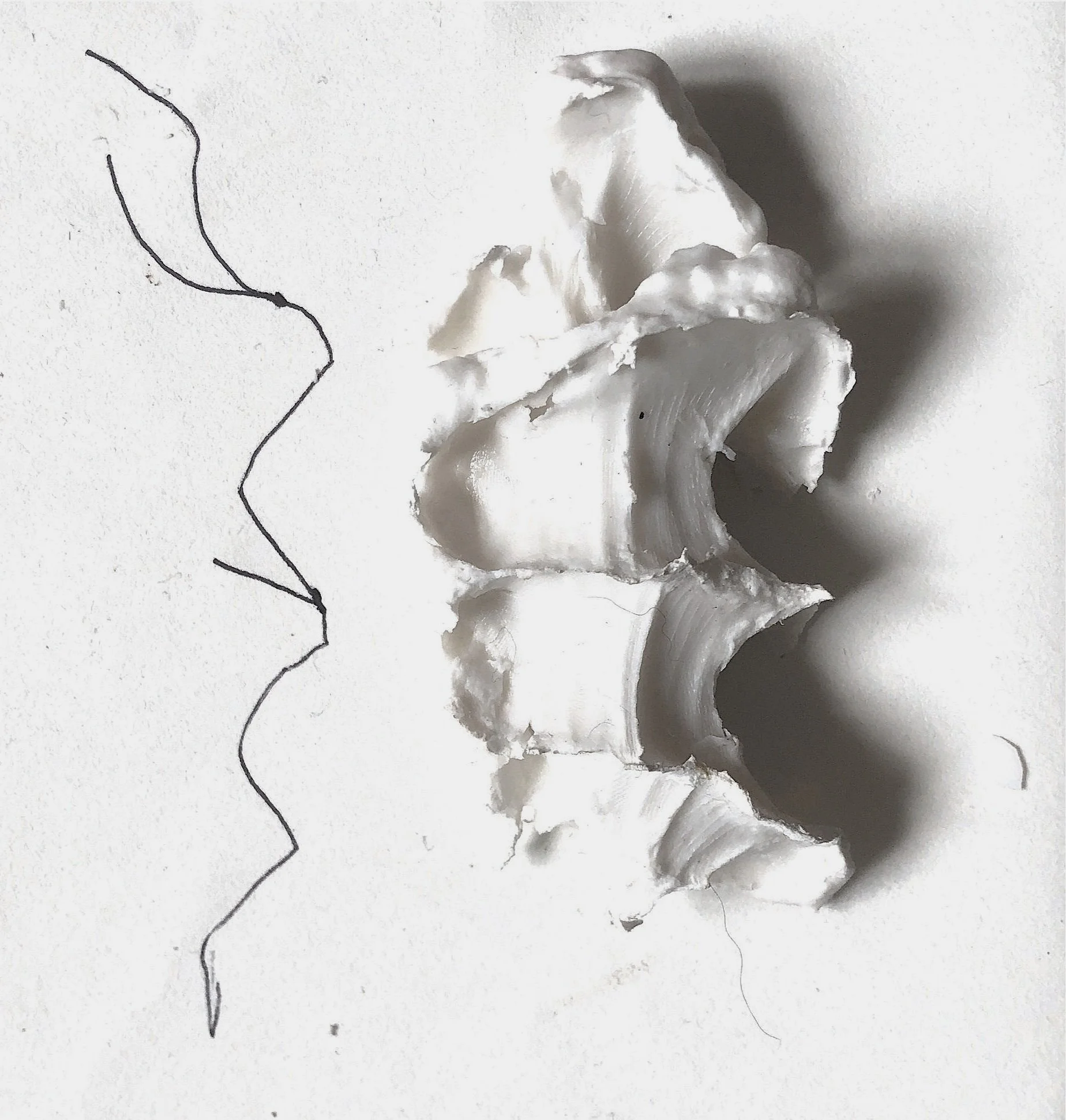 fist impression, alginate.