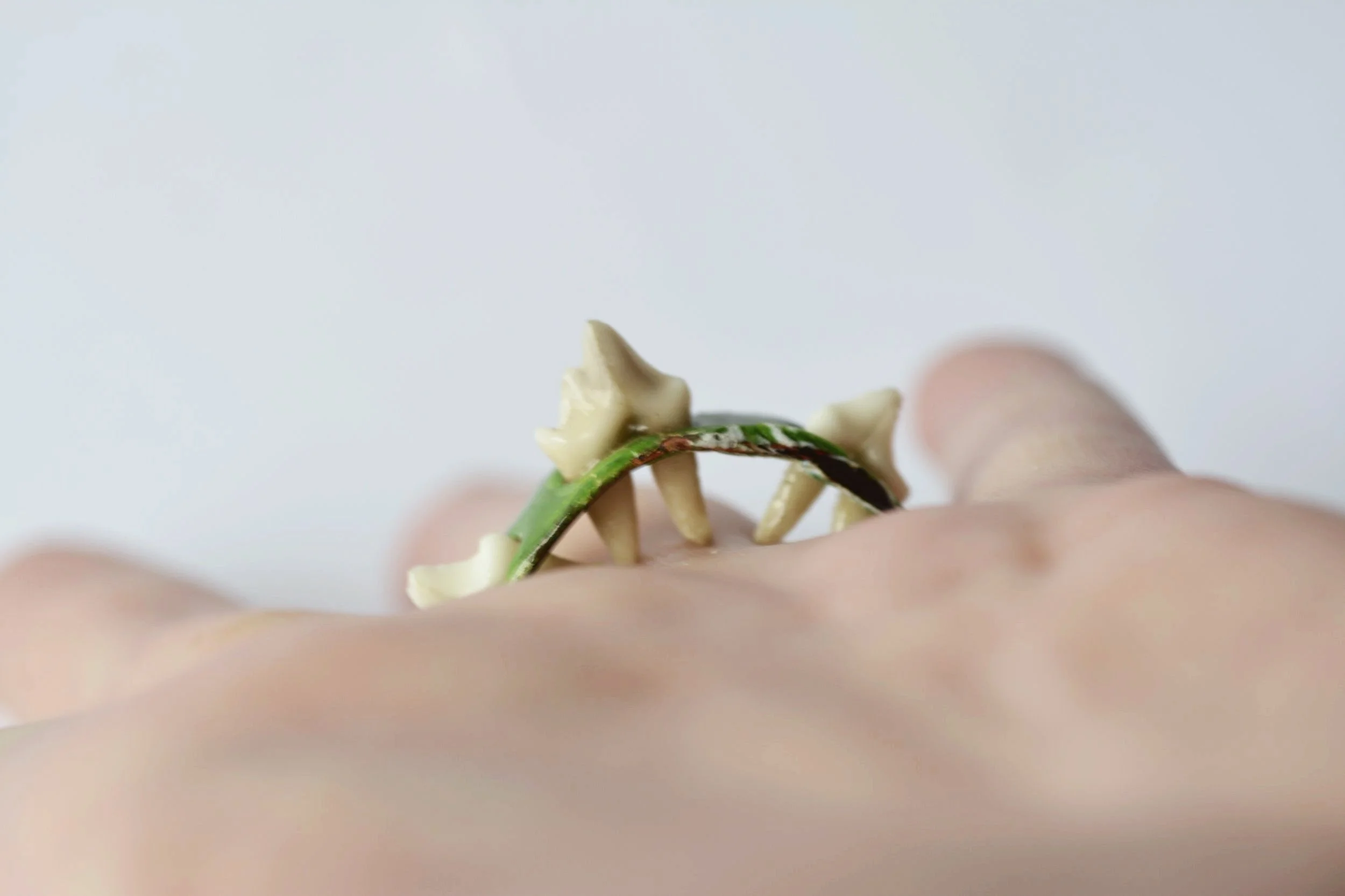 fox teeth, copper, enamel