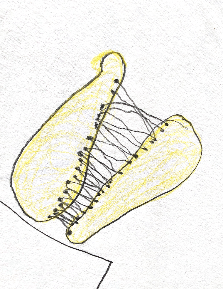 Screenshot 2024-01-31 at 14.43.45.png