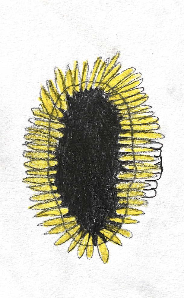 Screenshot 2024-01-31 at 14.43.35.png