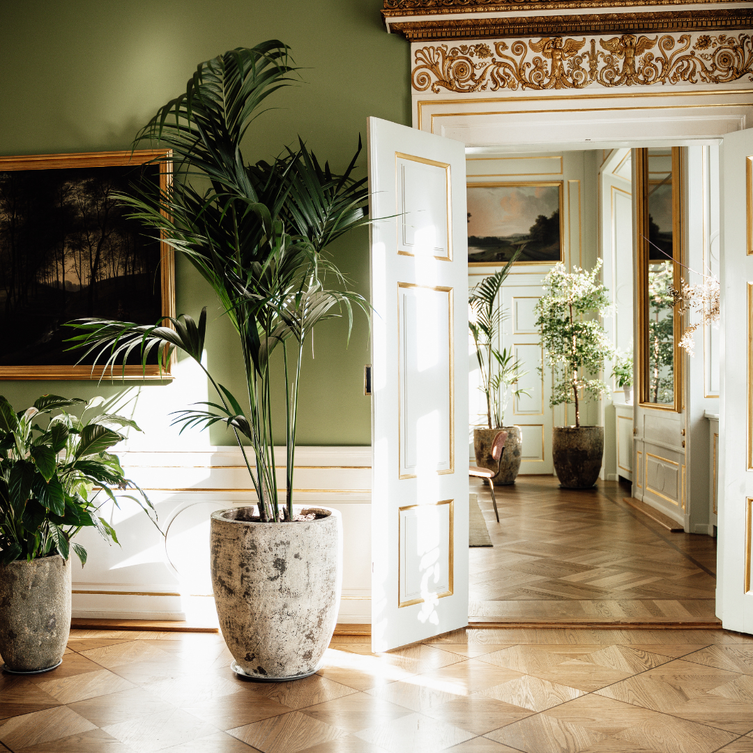 Elegant room with large potted plants, open white double doors with gold accents, hardwood floors, and decorative wall moldings, filled with natural light.