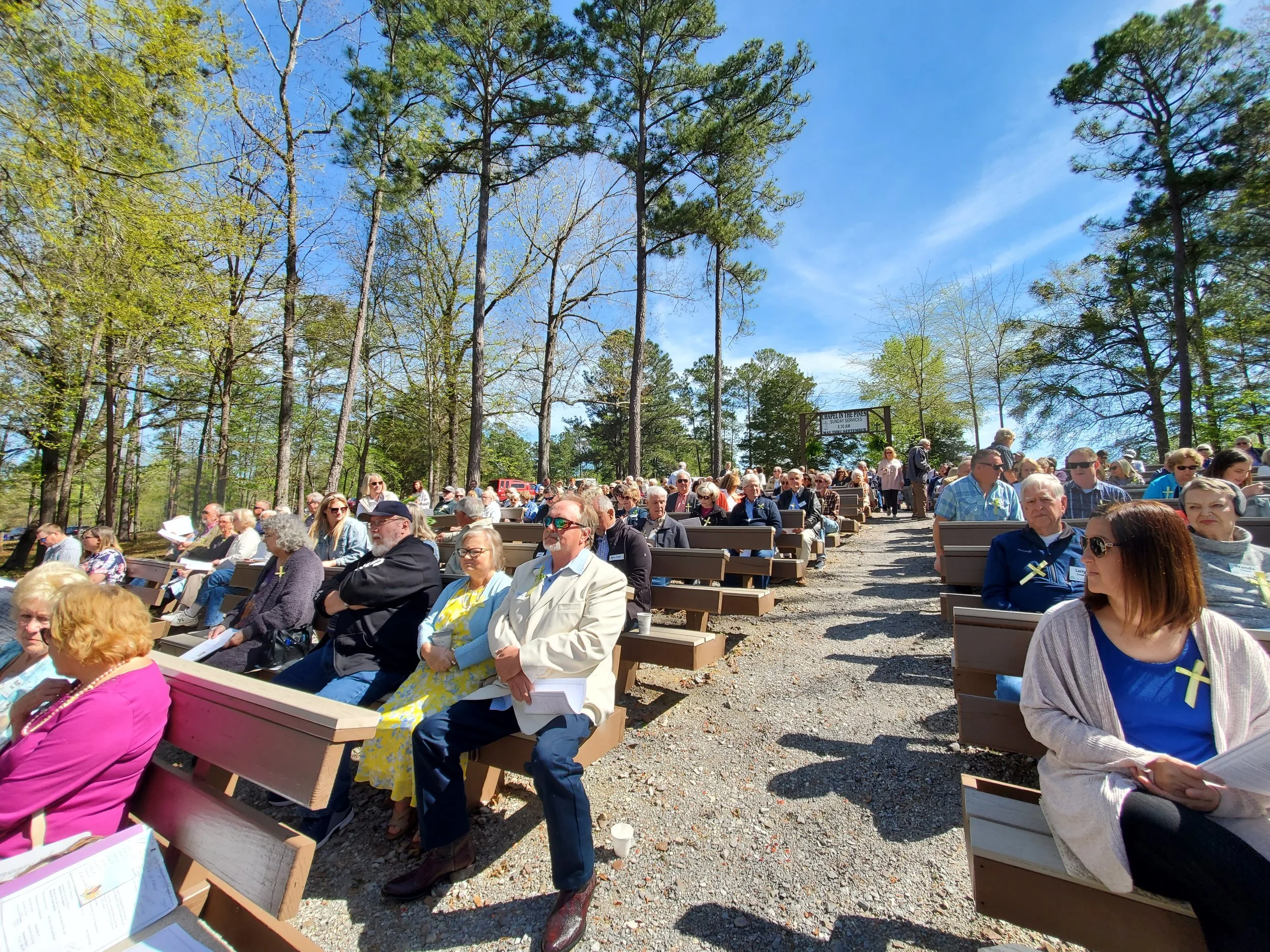 People gathered outdoors sitting on benches in a wooded area during a sunny day.