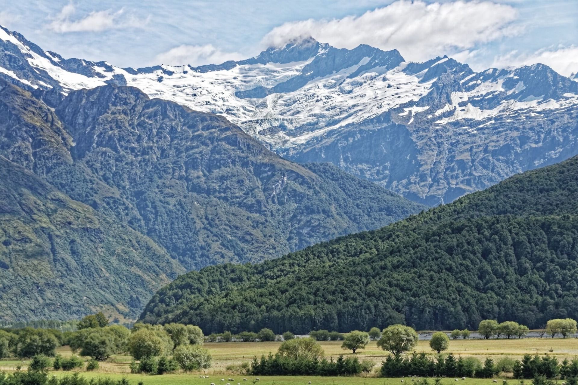 Makarora