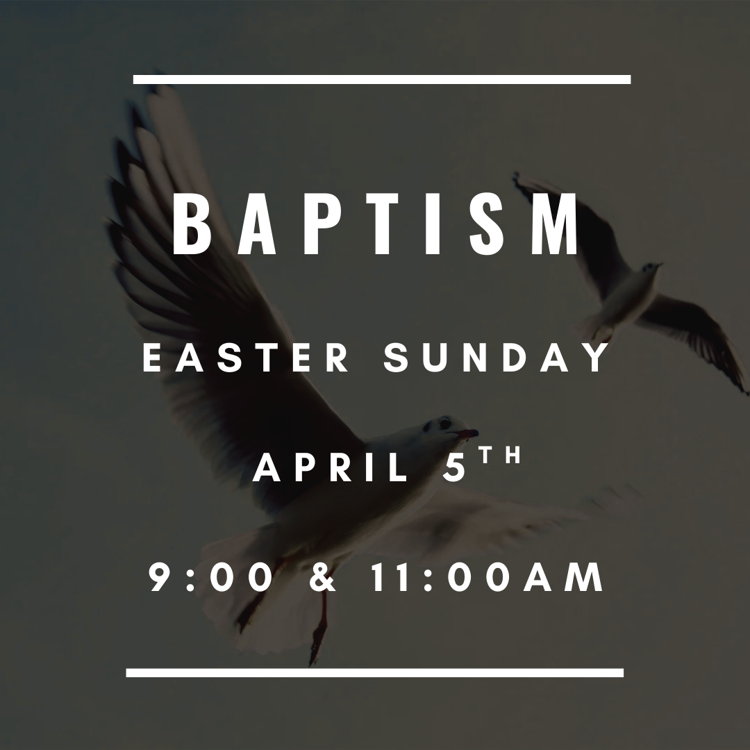 Baptism 2026 Square.png