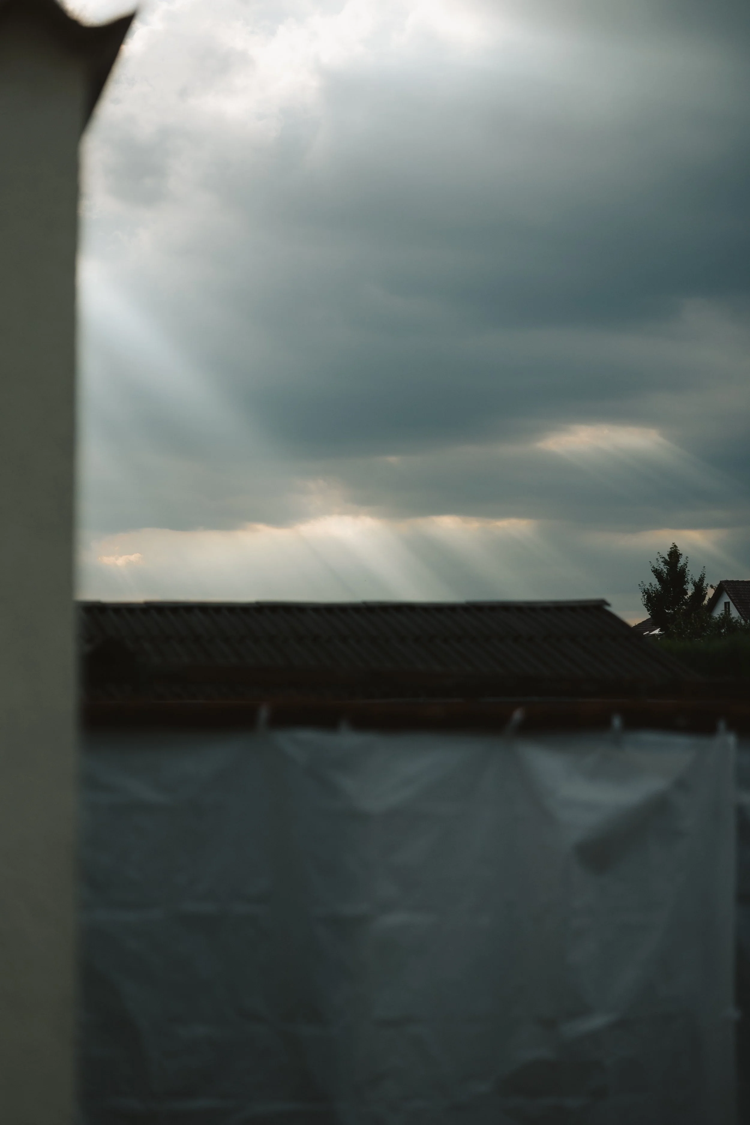 04 GARTEN _ TERESA & PAUL _ MEIKE RUPP-273.jpg