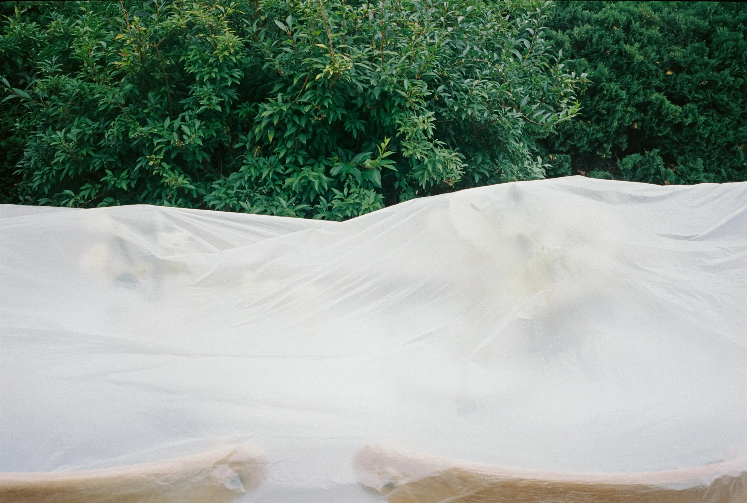 01 analog _ teresa und paul-16.jpg