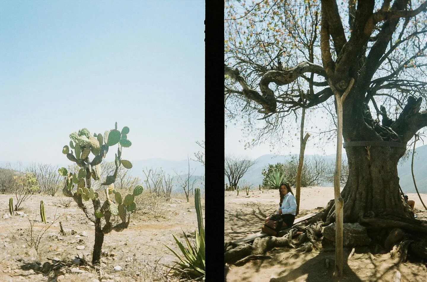 Oaxaca is bright